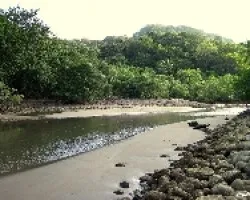Estero en Curú