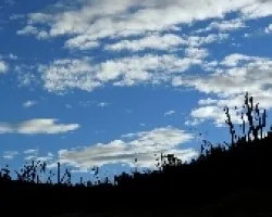 Testigos del Fuego