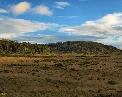 Una Sabana a Explorar