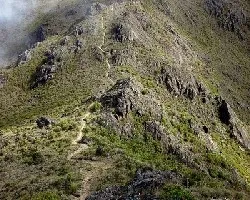 Caminando en una Fila
