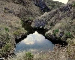 Quietud en La Sabana
