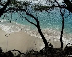 Quesera