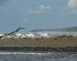 Costa en Sirena