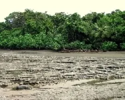 Playa Sirena