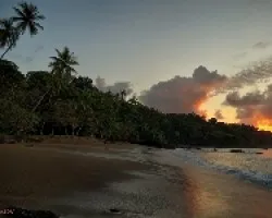 Playa Cocalito