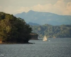 Navegante Solitario