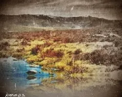 LAGUNA DE PECES