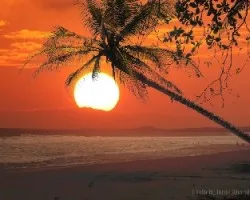 Ocaso
