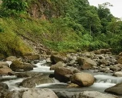 Río Elia