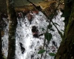 Cascada-3