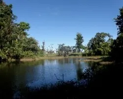 Laguna Torealta.