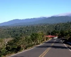 Vista a la selva del Parque La Amistad.