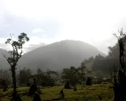 Las Tablas en el Parque La Amistad.