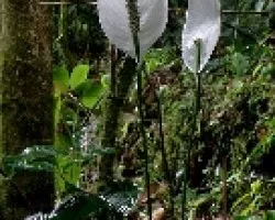 Otra belleza del parque 