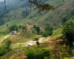 Paradójico. Finca en los Planes.
