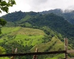Fincas en Limoncito, Coto Brus, Vista desde Brusmalis  tierra de indígenas.   