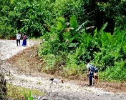 Caminando a la reserva