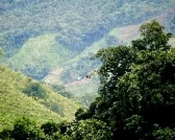Paisaje rural