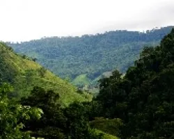 Fila Costeña