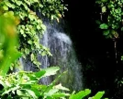 Caida de agua de un riachuelo 