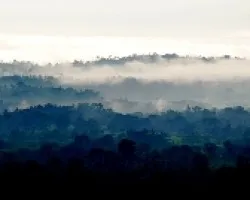 Después de la lluvia