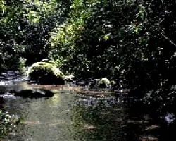 Aguas puras y limpias