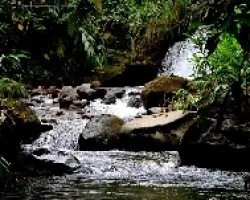 Río limpio y puro.