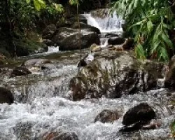 Río limpio y puro.