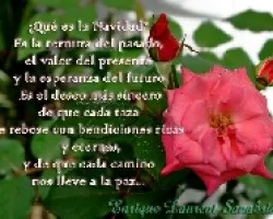 Feliz navidad y prospero año 2011 - 2012.