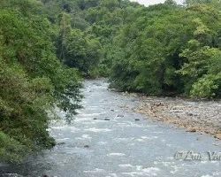 Río Sarapiquí
