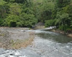 Río Sarapiquí
