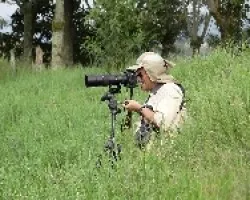 fotofer
