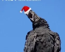 Felicidades