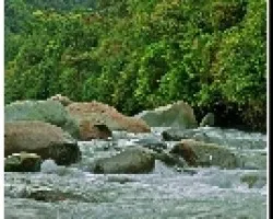AGUAS RÁPIDAS A MOCI