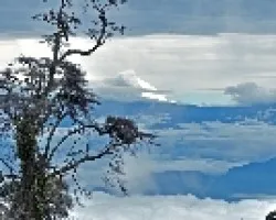 entre azules y niebla