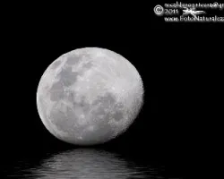 Luna en lago