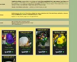 Fichas de especies
