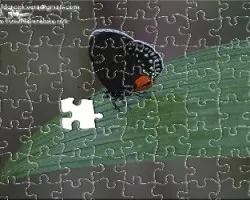 Rompecabezas