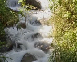 Agua rápida I