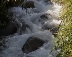Agua rápida II
