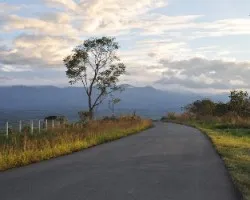 El camino nos lleva...