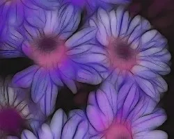 Poma fractal   I