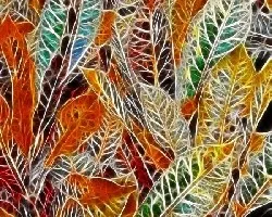 Líneas y color  I