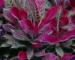 Líneas y color  II