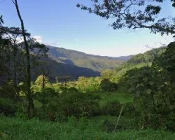 Montañas de Tapantí