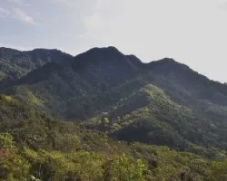 Montañas de Parque Nacional La Cangreja