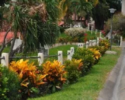 Perspectiva I