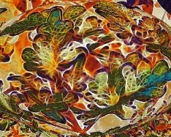 Ovalo fractal de hojas multicolor
