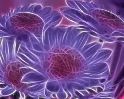 Ovalo de pomas lilas