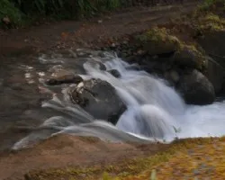 Toma lenta II